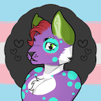 BubblesTheFolf's Avatar'