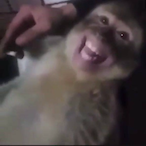 l--Braia--l's Avatar'