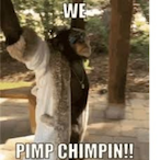 Chimpin.Esports's Avatar'