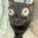 yourlocalbozo_'s Avatar'