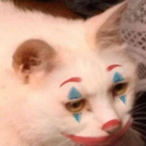 Poblema's Avatar'