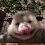 CryogenicKenny's Avatar'