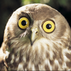 Can_I_Cosmic's Avatar'