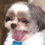 Oliverb671396's Avatar'