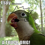 Spy_Parrot's Avatar'