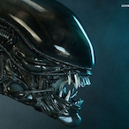 Lil Xenomorph's Avatar'