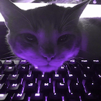 xemise's Avatar'