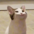 ambushhyep's Avatar'