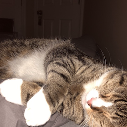 Truman