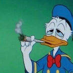 DONFOXX's Avatar'