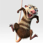 CrazyPossum124's Avatar'