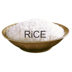 RiCE_XRay41's Avatar'