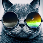 The1EyedPig's Avatar'