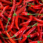 Peppperr's Avatar'