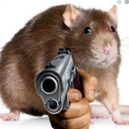 RattaTooly's Avatar'