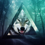 Nicolas_1Li's Avatar'