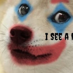 Society_Doge's Avatar'
