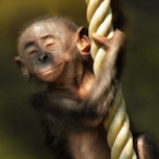 Smallpoppa.R6's Avatar'