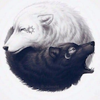 LuckyFoxy878's Avatar'