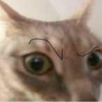 Schizogamin13's Avatar'