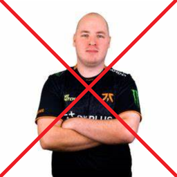 notFlusha.exe
