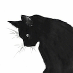 Skeleton_mh's Avatar'