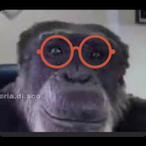 SonounMAURO's Avatar'