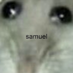 O clegnutss's Avatar'