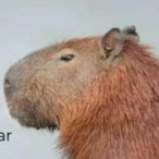ToDeQuarentena's Avatar'