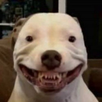 GunnjngOnTwitch's Avatar'