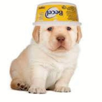 snupipixula's Avatar'