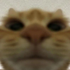 Shmoomeyshmamon's Avatar'