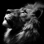 ALMOKILLER44's Avatar'
