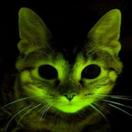 Cat.Mad's Avatar'