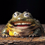 PnutPot's Avatar'