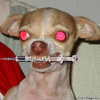 doktorzjorka's Avatar'