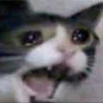 CrawlingDeer's Avatar'
