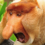 Eviltrnkmonkey's Avatar'