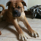 TheyCallMeConor's Avatar