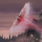 phoenixdyr29's Avatar'