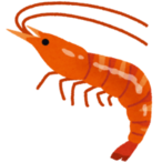 ika.tako's Avatar'