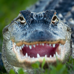 Wojtak.'s Avatar'