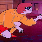 bunny.jpg's Avatar'