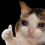 GATTOCHEPIANGE's Avatar'