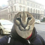 RedoruftdenWal's Avatar'