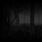 WallAssumer's Avatar'