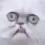 CrazedSickly's Avatar'