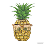 Gabe is ash's Avatar'