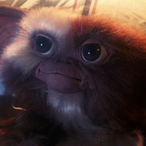 Chibby343's Avatar'