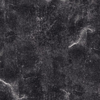 Agathidum-TFG's Avatar